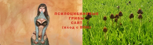метамфетамин Протвино