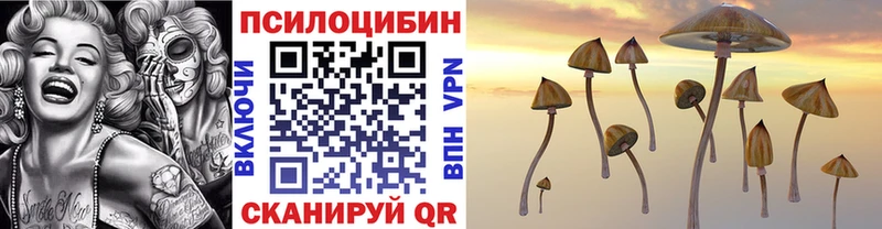 Псилоцибиновые грибы Psilocybine cubensis Шахунья